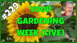 How to Select Garden Seeds (Q&A)