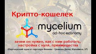 Крипто-кошелек MyCelium: зачем он нужен, как с ним работать, настройка с нуля, преимущества.