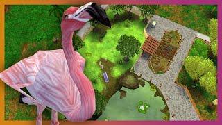  A New (old) Zoo! | Zoo Tycoon 2