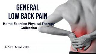 General Low Back Pain Home Exercises | UC San Diego Health