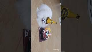 Happy Birthday to Hani ️