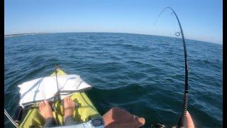 On the Grind to Find Fluke... in a Kayak (Montauk, NY)