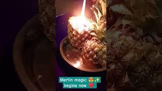 #hoodoo#wicca#wiccancommunit#wiccan#merlin#master #masterlin#druid#grandfather#oakd#pineapple#new 