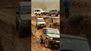 Who’s Watching? Trail Titans Spotted by a Silent 4x4 on the Ridge