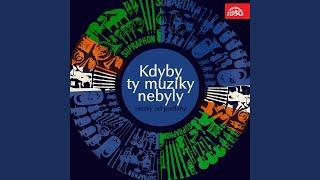 Hezky od podlahy. Směs - Česká muzika