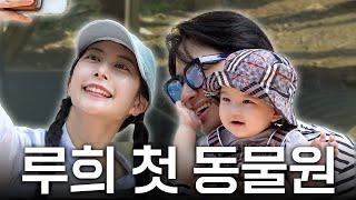 루희 파파 드디어 소원성취..? 루희랑 동물원 나들이