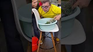 OMG  Not the Surprise He Planned #funny #funnyfamily #comedy