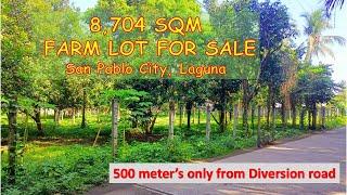 8,704 SQM. FARM LOT FOR SALE (Prop# 189), SAN PABLO CITY, LAGUNA