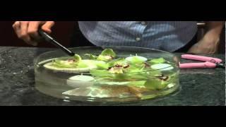 How to make Floral Arrangements- Dinner Party designs - Iris Rosin