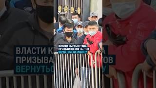 Бишкек призывает мигрантов вернуться на родину