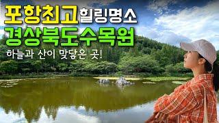 포항최고 힐링명소 경상북도수목원 | 하늘과 산이 맞닿은 곳 | 해발 650m | 여름에도 시원한 곳