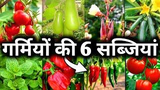 6 Summer Vegetables to grow at home | Vegetables Kitchen garden at home
