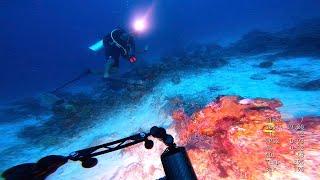 Full scuba Dive10