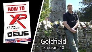Metal Detector XP DEUS : Goldfield program and it's features [EN]