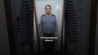 Звериный криминал