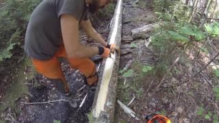 Building a Bog Bridge on a Hiking Trail