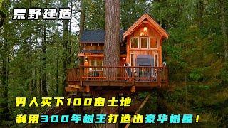 荒野建造：男人盘下100亩土地，利用300年树王打造出豪华树屋！