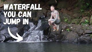 Ginger Ponds | Hike, Waterfall, Beach: things to do near Waikiki