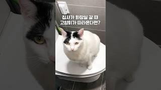Why do you follow me to the bathroom?