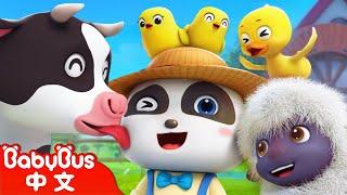 王老先生有塊地 | Old MacDonald Had A Farm | 經典兒歌 | 奇奇和妙妙 | 童謠 | 卡通片 | Kids Song | BabyBus | 寶寶巴士