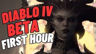 First Hour of the Diablo 4 Beta as someone who has never played Diablo (Druid Class)!