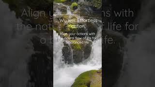 Align your actions with the natural flow of life #taoism #zhuangzi #wuwei #personalgrowth