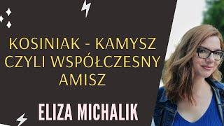 Kosiniak - Kamysz, czyli współczesny amisz