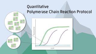 Quantitative Polymerase Chain Reaction Protocol