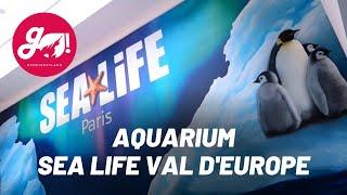 VISITE DE L'AQUARIUM SEA LIFE PARIS - VAL D'EUROPE