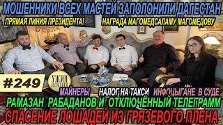 Ужин негодяев№249 Что с дядей Рамазаном/Где телеграмм/время мошенников/души и туши погибших тюленей