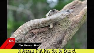 10 Animals That May Not Be Extinct