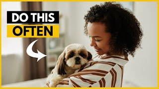 5 Things You Should Do More Often for Your Shih Tzu