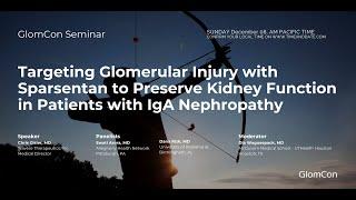 Targeting Glomerular Injury with Sparsentan to Preserve Kidney Function in Patients with IgA