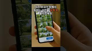 카카오톡 사진 여러 장 한 번에 보내는 꿀팁 #시니어 #카톡