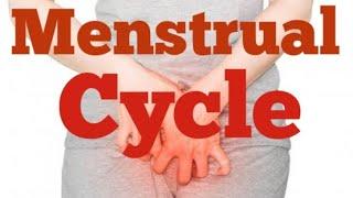 Menstrual cycle: Their different phases, Hormonal regulations and menstrual disorders