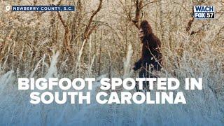 Bigfoot Sighting In South Carolina Sparks New Investigation By Animal Planet Host