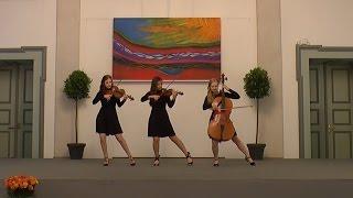 Tango Trio  Sommerkonzert 2016