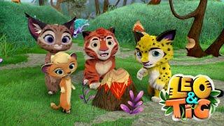 Leo and Tig  New compilation online  Funny Family Good Animated Cartoon for Kids