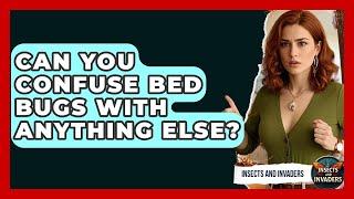 Can You Confuse Bed Bugs With Anything Else? - Insects and Invaders