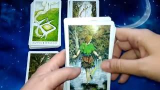 Обзор реплики WildWood Tarot (Таро Дикого леса)