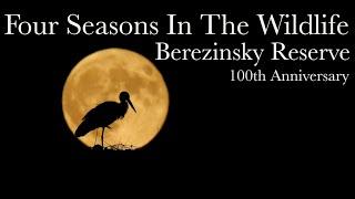 Berezinsky Nature Reserve In Seasons | Film Studio Aves