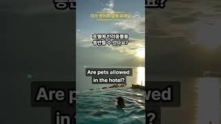 [하루 3문장만 암기] 이거 영어로 말해 보세요 | 해외 여행 가서 할 말 다 하고 오자
