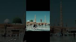 Heart Touching Rubai | kalam:M Shahab Saifi #rubai #naat #naatstatus #madina #saifi #shorts #reels