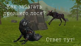 Как забагать древнего лося в Wild Craft?? Ответ тут!