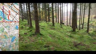 Höst-Open 2024 - Orienteering in Almindingen on Bornholm in the Baltic Sea