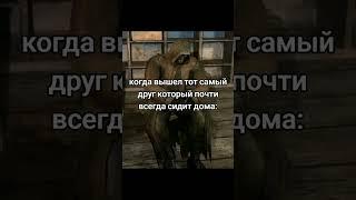 Когда домосед-друг всё же вышел на улицу… #сталкер #s_t_a_l_k_e_r #зона #атмосфера #друг #прикол