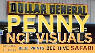 Dollar General NCI Penny Item Visuals Shades of Gray Safari Blue Prints and Bee Hive