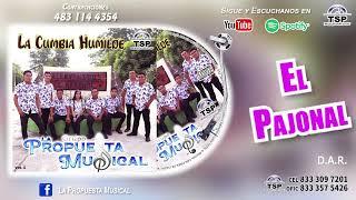 09 El Pajonal - La Propuesta Musical Vol 1 (Audio Oficial TSP Records 2025)