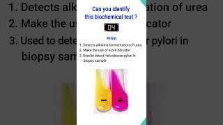 Quiz-5 | Biochemical test for identification of bacteria| #shorts #microbiology