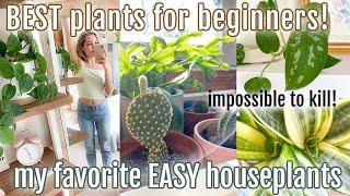 My Favorite EASY Houseplants for Beginners New Plant Parents!! (Low light, low maintenance, + more)